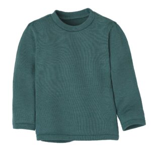 Ein Bio Strickpullover von Disana aus Merinowolle in der Farbe Eukalyptus